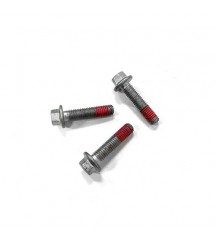 Hexagon screw 20405560